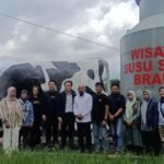 Ketika Sapi Mengalahkan Jumlah Manusia