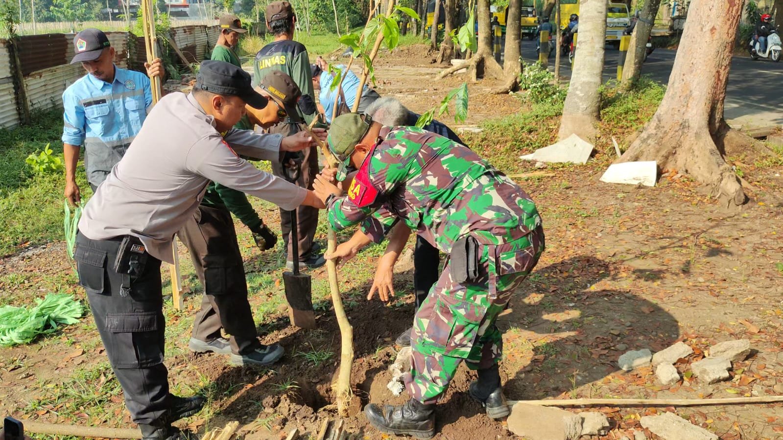 malang-post.com - Koramil Kedungkandang Bersama DLH Wujudkan RTH Asri Melalui Penanaman 100 Pohon Tabebuya