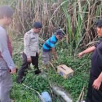 Niat Cari Rumput, Warga Gondanglegi Malah Temukan Bayi Meninggal Terbungkus Kain Cokelat dan Jaket M...