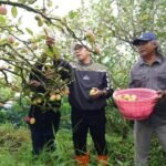 Ikon Kota Batu Dalam Bahaya! Luas Lahan Menyusut 38 Persen, Ketua DPRD esak Penyelamatan Total Kebun...