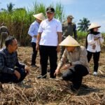 Impor Gula Rampas Jutaan Lapangan Kerja Lokal