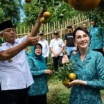 Kunjungi Malang, Arumi Bachsin Kepikat Jeruk Sumbersuko hingga Ajak Warga Berlibur ke Wagir