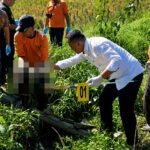 Ditemukan Mengapung dengan Tali Pusar Menempel: Misteri Jasad Bayi Laki-laki Gegerkan Warga Sukonolo...