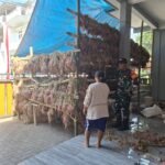 Babinsa Tunggulwulung Aktif Monitoring Budidaya Bawang Milik Warga