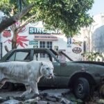 Peringati Hari Harimau Sedunia, Batu Secret Zoo Perkuat Animal Welfare dan Bangun Fasilitas Kandang ...