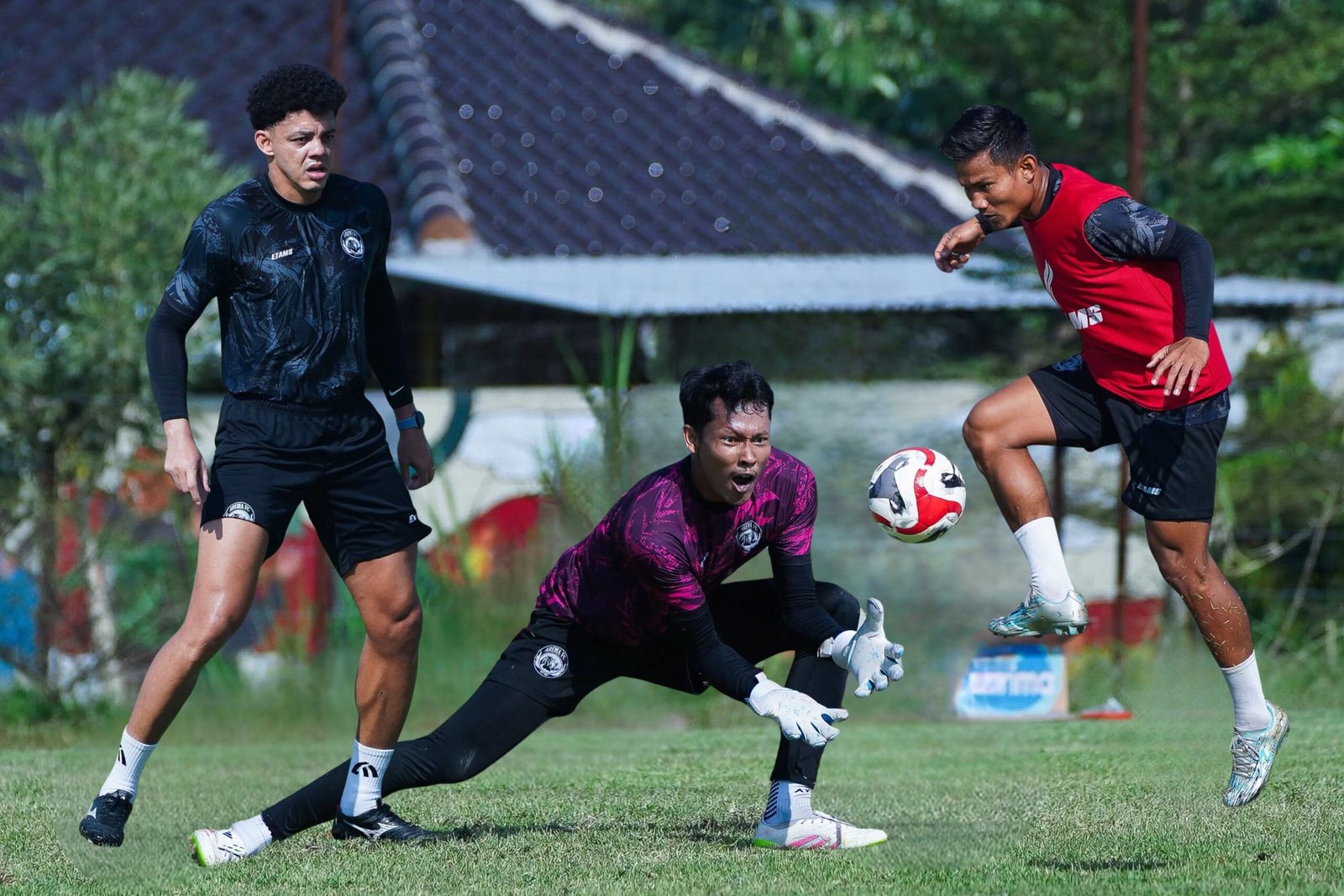 malang-post.com - Pelatih Arema Marcos Santos Berburu Pemain ke Pelosok Brasil