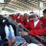 Bulan Bakti Peternakan, Malang Bidik Swasembada