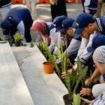 Maba UM Tanam Ribuan Lidah Mertua: PKKMB 2026 Wujudkan Green Campus