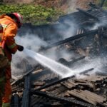 Kandang Ayam di Jalan Metro Kota Batu Terbakar, Kerugian Materiil Ditaksir Mencapai Rp600 Juta