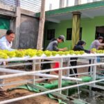 UM Kembangkan Teknologi Kemandirian Pangan di Pondok Pesantren Mambaul Abyad Wajak