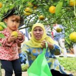 Desa Wisata Punten, Menjahit Potensi Lokal Jadi Sejuta Pesona