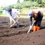 Cegah Alih Fungsi Lahan Sawah, Pemkot Batu Kunci 423 Hektare Lahan Pertanian Masuk LP2B