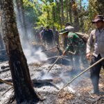 Angin Kencang Hambat Water Bombing, Karhutla Gunung Buthak–Kawinajang Capai 478 Hektare