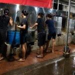 Tudingan Viral Pegiat Medsos Yetty Terapish: PJTKI PT Berkah Guna Selaras Pakis Perbudak CPMI