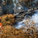 Kebakaran Gunung Butak Padam, 15 Hektare Hutan Terbakar dan 271 Pendaki Dipastikan Selamat