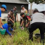 HUT TNI ke-81, Kodim 0833 Tanam 200 Bibit Pohon di Arjowinangun