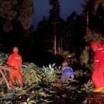 Angin Kencang Mengintai Kota Batu, BPBD Imbau Warga Tingkatkan Kewaspadaan