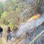 Bara Serasah Picu Karhutla Dua Hari Berturut-turut di Kota Batu