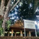 BMKG Juanda Keluarkan Peringatan Waspada Angin Kencang di Malang Raya 12–15 September
