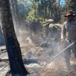 Titik Api Baru Muncul di Gunung Buthak, Helikopter Water Bombing Dikerahkan