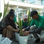 Peringati Hari Ozon Sedunia, Tim UM Green Campus Tanam Pohon Penyedia Oksigen