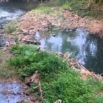 Air Sungai Brantas Sukonolo Berwarna Ungu Menyengat, Jasa Tirta Selidiki Penyebabnya