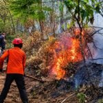 Api Arjuno-Welirang Padam, BNPB Tegaskan 99 Persen Karhutla Dipicu Kelalaian Manusia