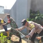 Pohon Tumbang Masuk Got, Babinsa Tulusrejo Bersama Warga Bergerak Evakuasi