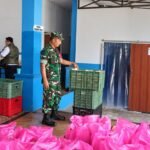 Babinsa Tlogomas Dampingi Penyiapan Makanan Bergizi, Dukung Pemenuhan Gizi Masyarakat