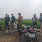 Dekat dengan Petani, Babinsa Arjowinangun Dampingi Penyemprotan Padi dengan Drone