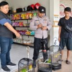 Embat 43 Karung Beras dan Burung Peliharaan: Pembobol Ruko Pakisaji Dibekuk di Kedungkandang