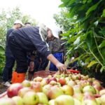 Gandeng Industri Horeka, Wali Kota Nurochman Minta Hotel dan Restoran Beli Produk Petani Lokal