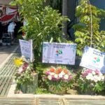 Ramah Lingkungan, Ucapan HUT ke-25 Kota Batu Diganti Bibit Pohon Tabulampot